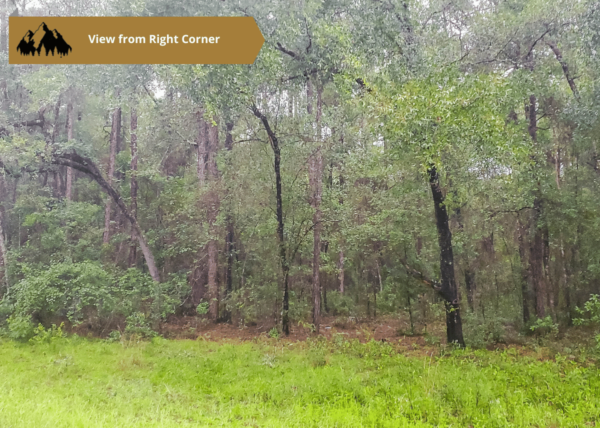 .25 acres in Citrus County, FL - Image 3