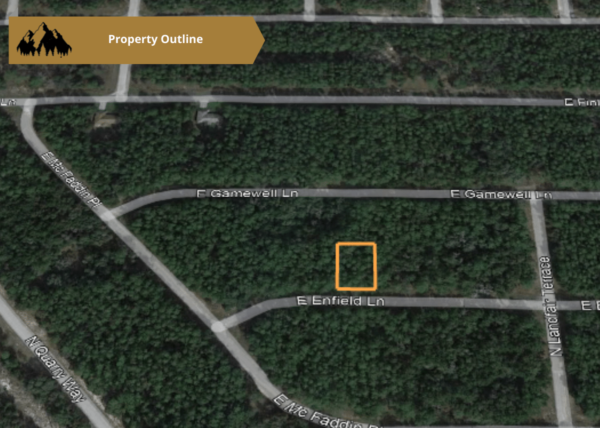 .25 acres in Citrus County, FL - Image 12