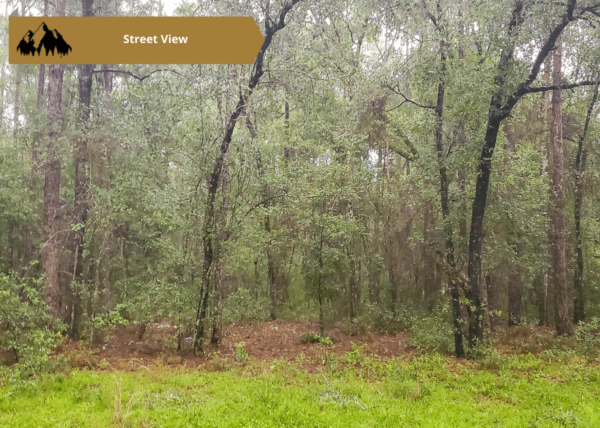 .25 acres in Citrus County, FL - Image 2