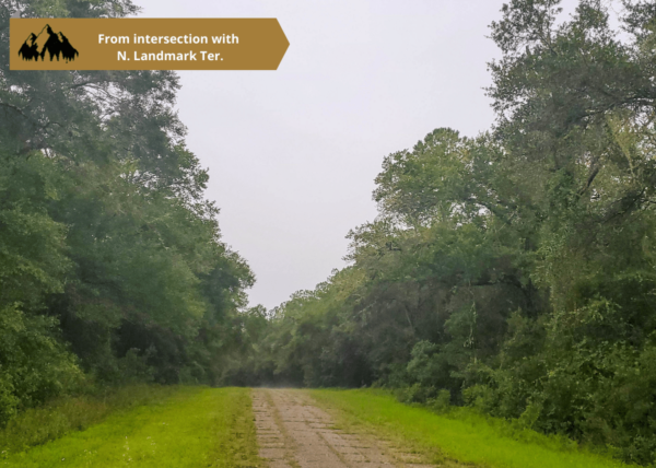 .25 acres in Citrus County, FL - Image 7