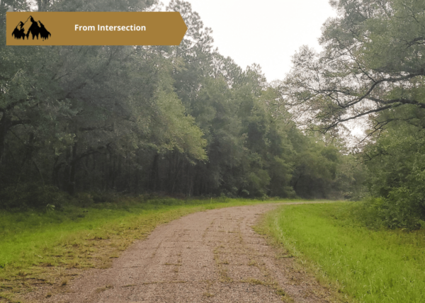 .25 acres in Citrus County, FL - Image 8