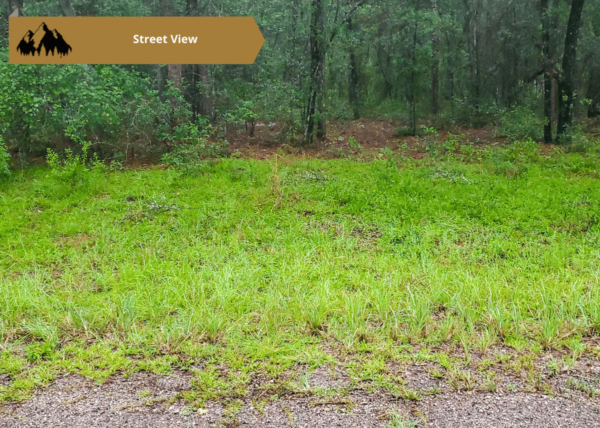 .25 acres in Citrus County, FL - Image 6