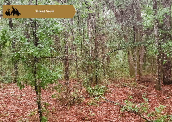 .25 acres in Citrus County, FL - Image 10
