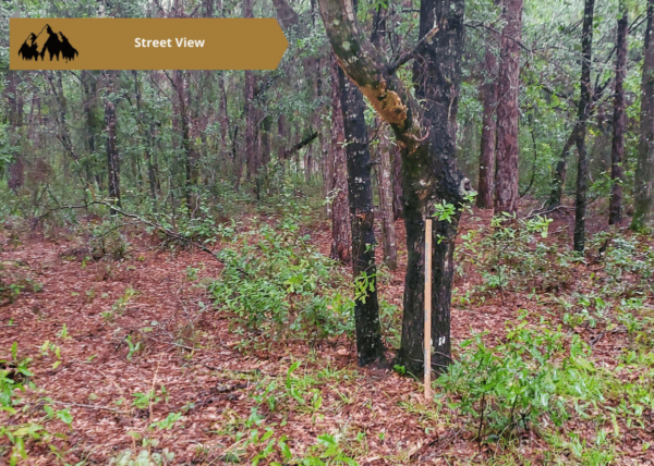 .25 acres in Citrus County, FL - Image 5
