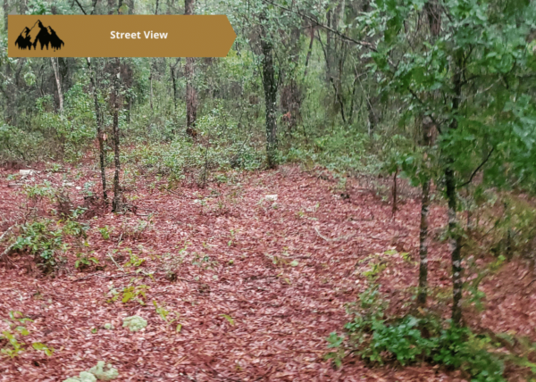 .25 acres in Citrus County, FL - Image 4