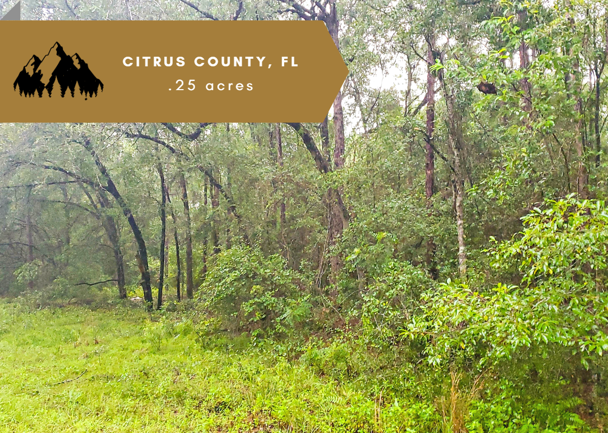 .25 acres in Citrus County, FL