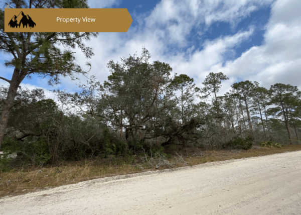 .23 acres in Highlands County, FL - Image 5