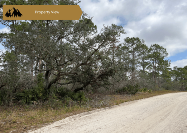 .23 acres in Highlands County, FL - Image 6
