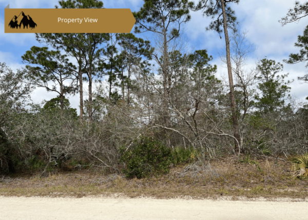 .23 acres in Highlands County, FL - Image 7