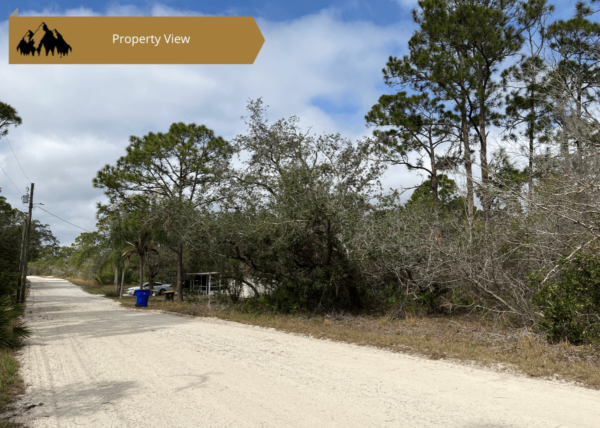 .23 acres in Highlands County, FL - Image 8