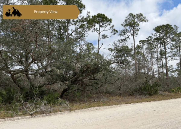 .23 acres in Highlands County, FL - Image 3