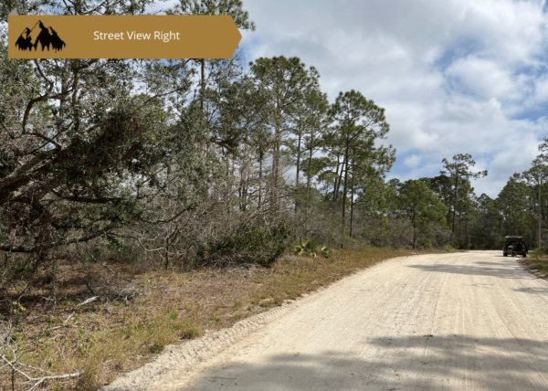 .23 acres in Highlands County, FL - Image 10