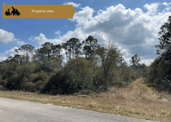 .27 acres in Highlands County, FL - Image 4