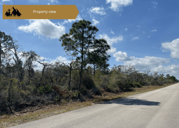 .27 acres in Highlands County, FL - Image 5