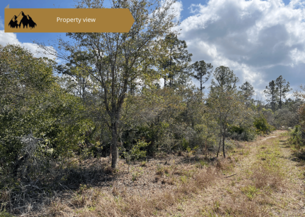 .27 acres in Highlands County, FL - Image 3