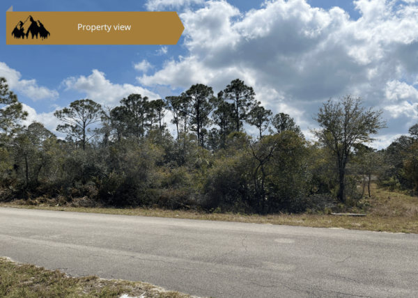 .27 acres in Highlands County, FL - Image 6