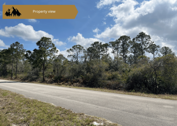 .27 acres in Highlands County, FL - Image 7