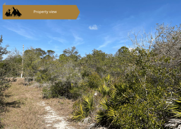 .27 acres in Highlands County, FL - Image 2