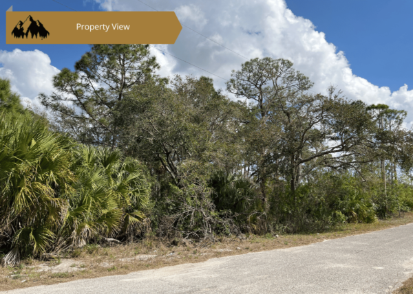 .22 acres in Highlands County, FL - Image 3