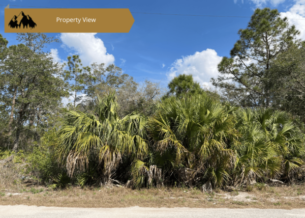 .22 acres in Highlands County, FL - Image 5