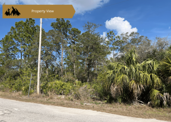.22 acres in Highlands County, FL - Image 7