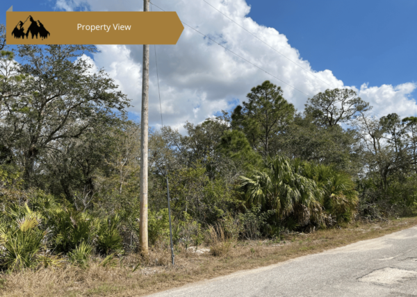 .22 acres in Highlands County, FL - Image 2
