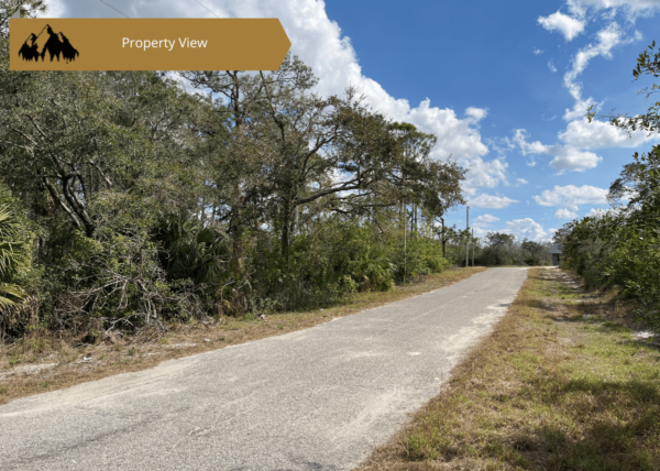 .22 acres in Highlands County, FL - Image 8