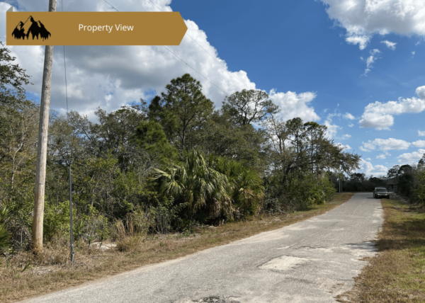 .22 acres in Highlands County, FL - Image 9