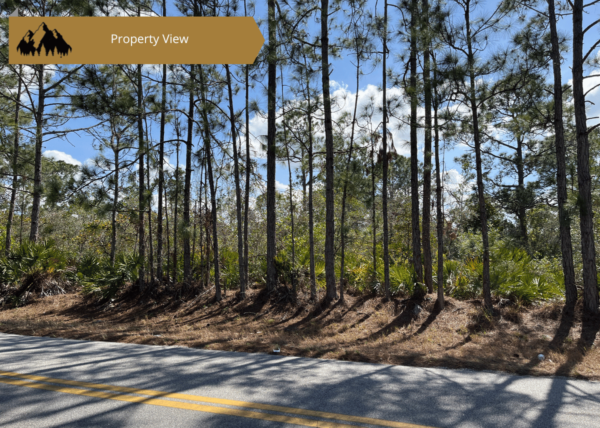 .23 acres in Highlands County, FL - Image 4