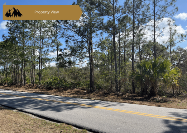 .23 acres in Highlands County, FL - Image 5