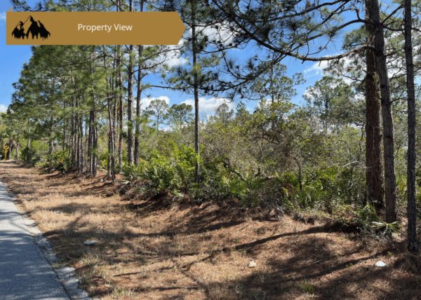.23 acres in Highlands County, FL - Image 7