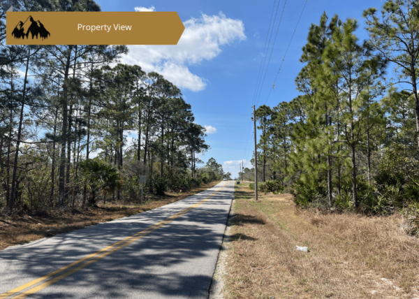 .23 acres in Highlands County, FL - Image 3