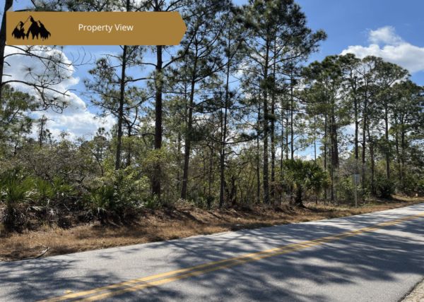 .23 acres in Highlands County, FL - Image 8