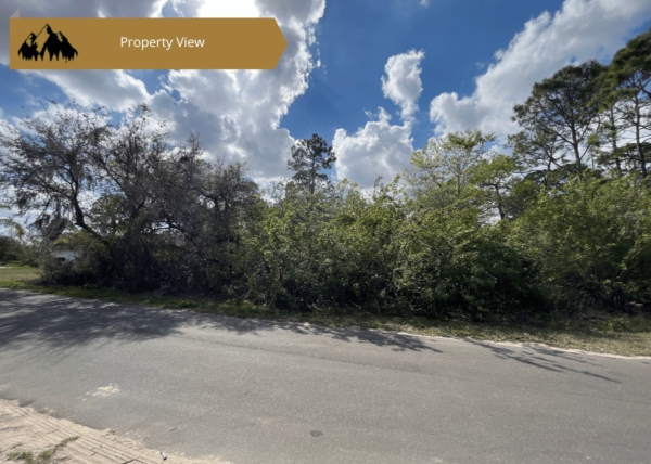 .24 acres in Highlands County, FL - Image 5