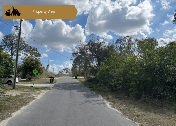 .24 acres in Highlands County, FL - Image 6