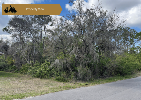 .24 acres in Highlands County, FL - Image 3