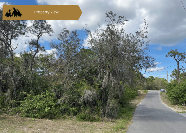 .24 acres in Highlands County, FL - Image 2