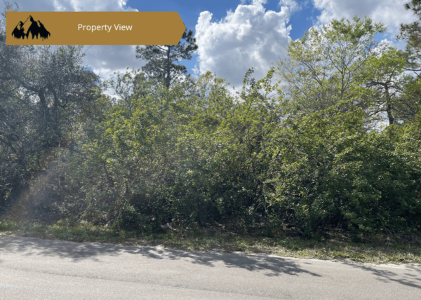 .24 acres in Highlands County, FL - Image 7