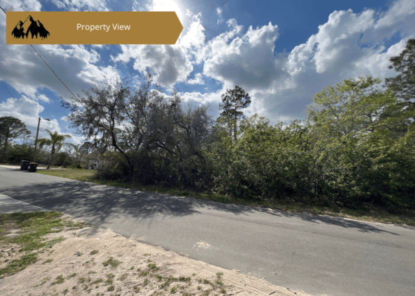 .24 acres in Highlands County, FL - Image 4