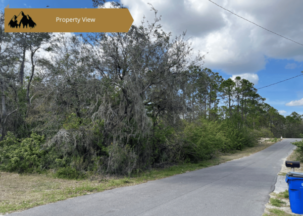 .24 acres in Highlands County, FL - Image 8