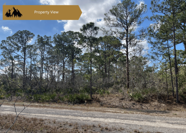.29 acres in Highlands County, FL - Image 3