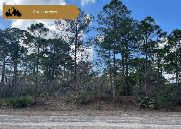.29 acres in Highlands County, FL - Image 4