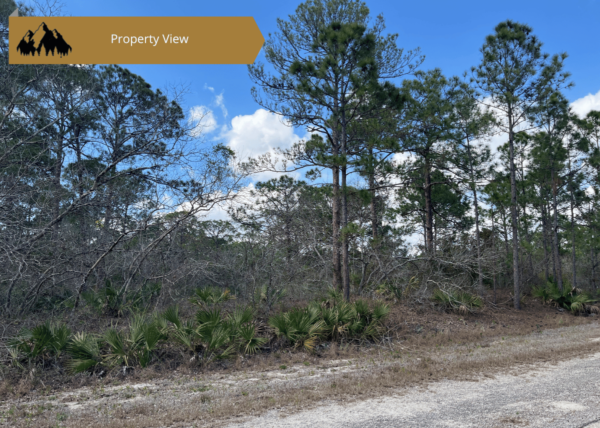 .29 acres in Highlands County, FL - Image 5