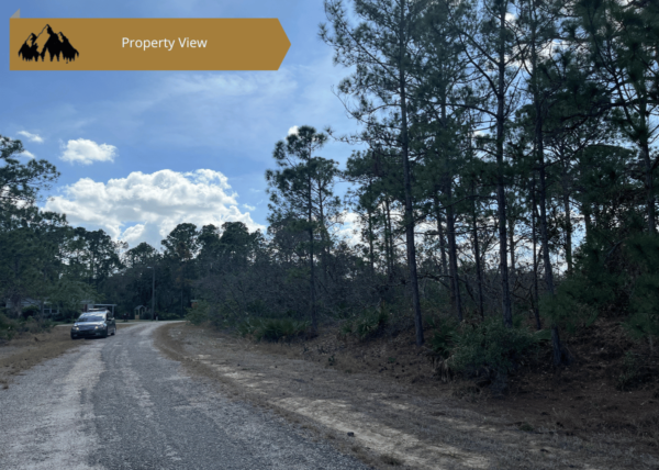 .29 acres in Highlands County, FL - Image 6