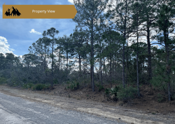 .29 acres in Highlands County, FL - Image 7