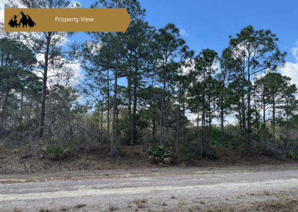 .29 acres in Highlands County, FL - Image 2