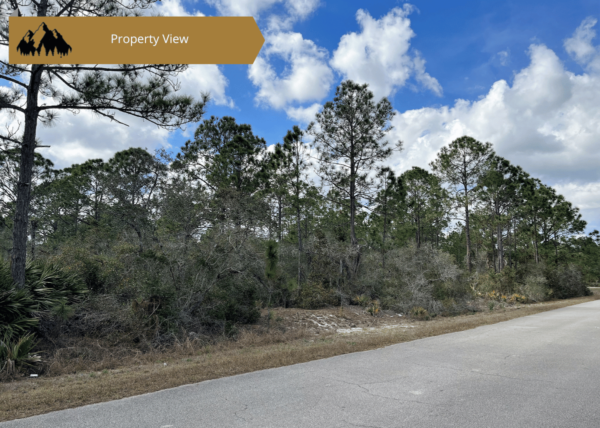 .34 acres in Highlands County, FL - Image 3