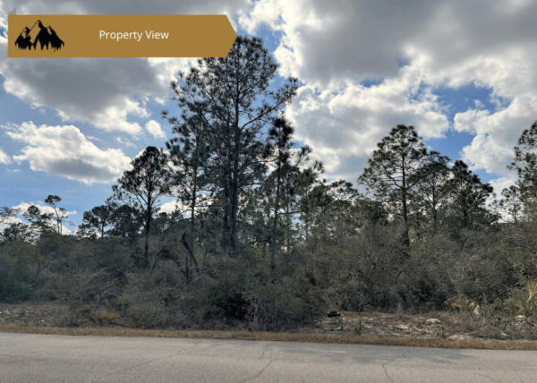 .34 acres in Highlands County, FL - Image 4