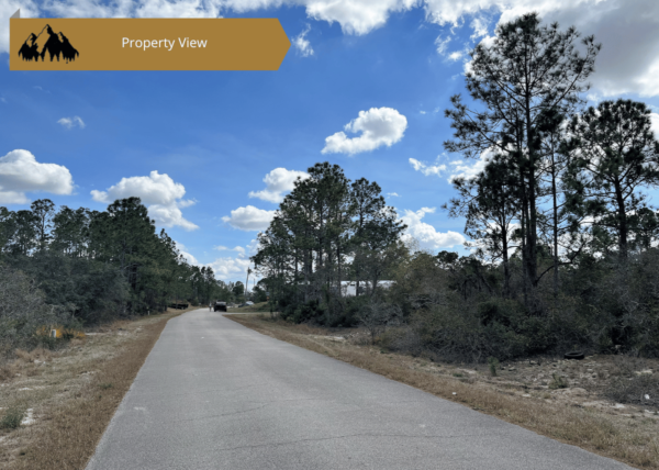 .34 acres in Highlands County, FL - Image 5