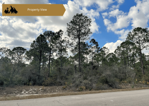 .34 acres in Highlands County, FL - Image 6